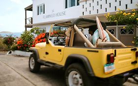 The Flamingo House